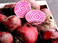 Knol-achtigen (Légumes Tubéreux)