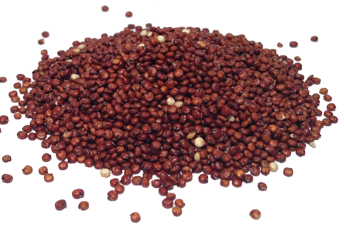 Quinoa rood