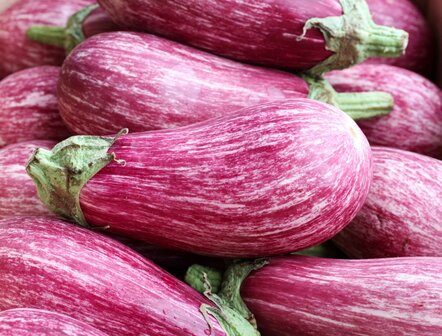 Aubergine graffiti