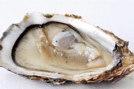 Oesters GEAY Speciales fines claires 48/no.3