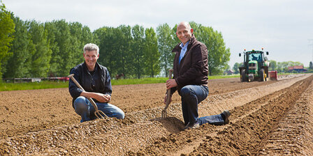 Hoeksche Zeezout Chips