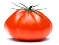 Tomaten Coeur de Boeuf a l&#039;Ancienne