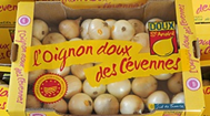 Oignons doux des Cevenne