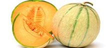 Melon Charantais de Cavaillon