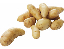 aardappel grenaille ratte