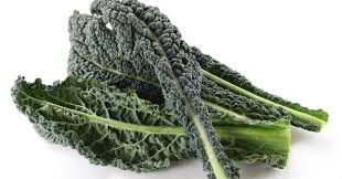 Cavolo nero