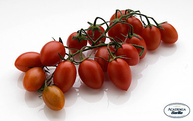 Tomaten mini pomodoris Lobello