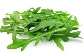 Rucola