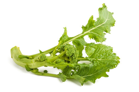 Cime di rapa