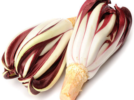 Trevise radicchio lungo - Tardivo