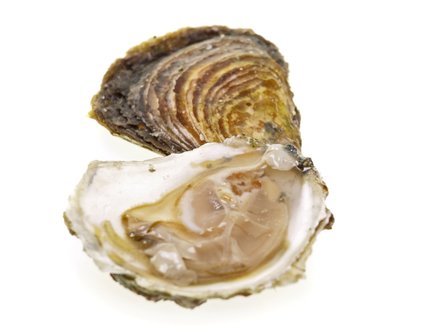 Oesters: Huitre fine claire nr. 2 (48x)