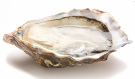 Oesters: Gillardeau No.3