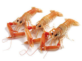 Langoustines 16/20