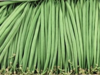 Haricots vert XF Kenya