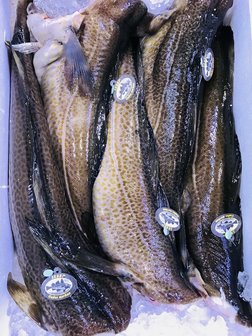 Skrei kabeljauw 4/6