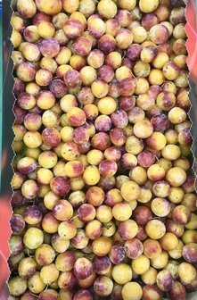 Pruimen Mirabelle