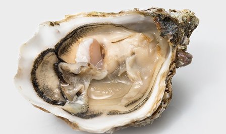 Oesters: Gillardeau No.2