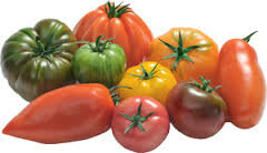 Tomaten d'Antan