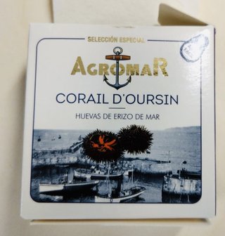 Corail d&#039;Oursin