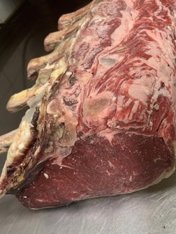 Carre Cote de Boeuf Dry Aged