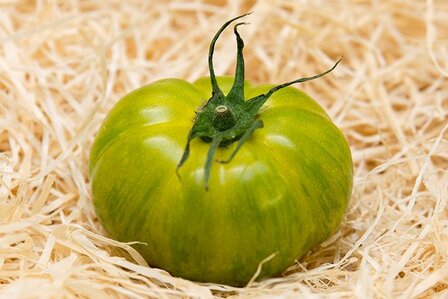 Tomate Verte Zebra - Les Saveurs de Chailly