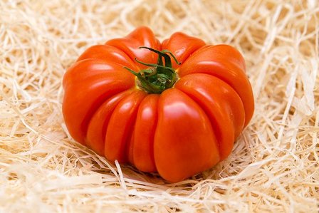 Tomaten Marmande - Les Saveurs de Chailly