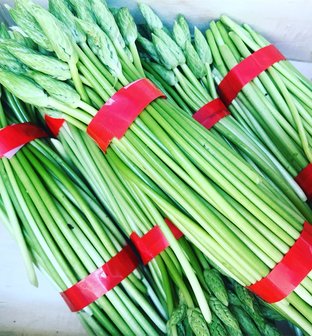 Asperges Korenaar (wilde asperges)