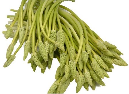 Asperges Korenaar (wilde asperges)