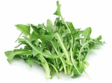 Pissenlit vert