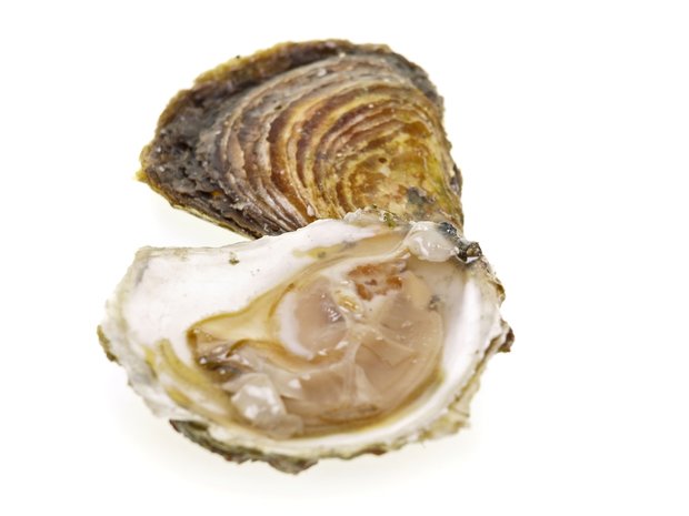 Oesters: Huitre fine claire nr. 2