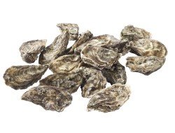 Oesters: Huitre fine claire nr. 3 (48x)