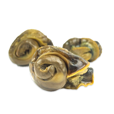 Escargots (in blik)