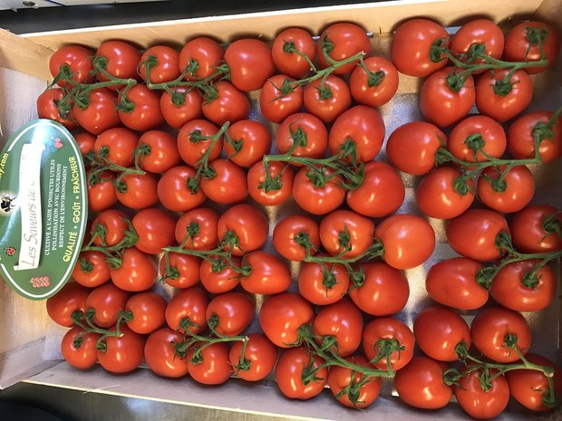 Tomaten tros