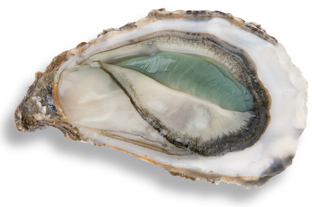 Oesters: Huitre fine claire VERTE nr. 2