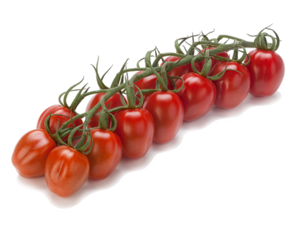 Tomaten mini pomodoris Lobello