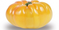 Tomaten Ananas Les Saveurs de Chailly