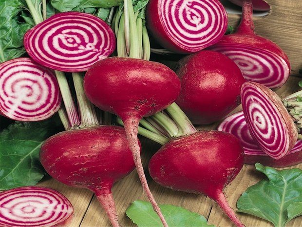 Mini Chioggia biet (12 bos)