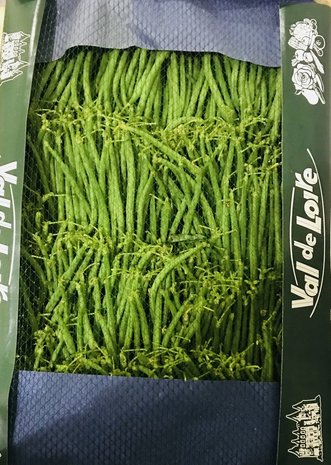 Haricots vert extra fin Val de Loire