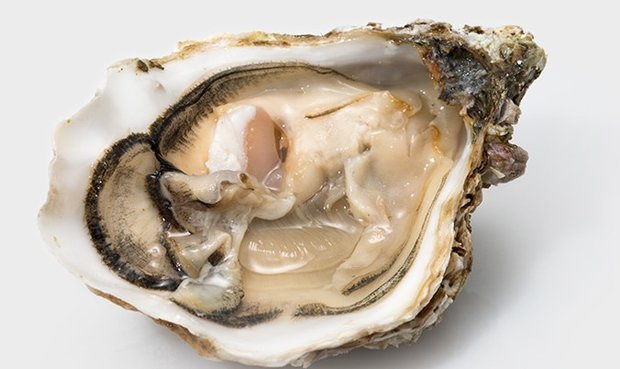 Oesters: Gillardeau No.2