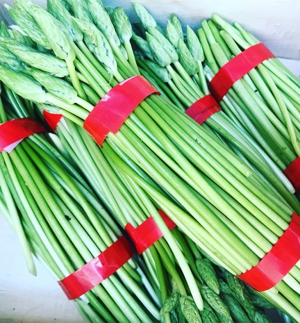 Asperges Korenaar (wilde asperges)