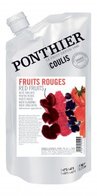 Rood fruit coulis